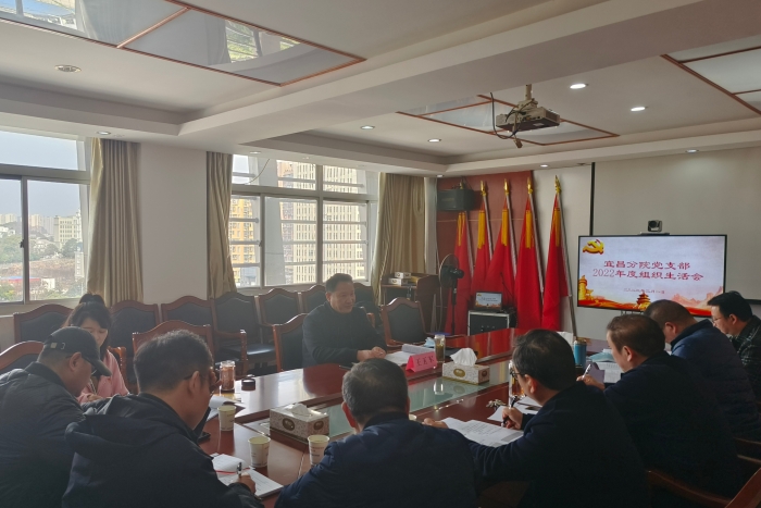 組織(zhi)生活會